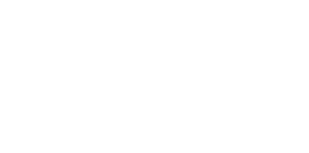 overseas converter
